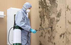 Professional Mold Inspection in Leominster, MA